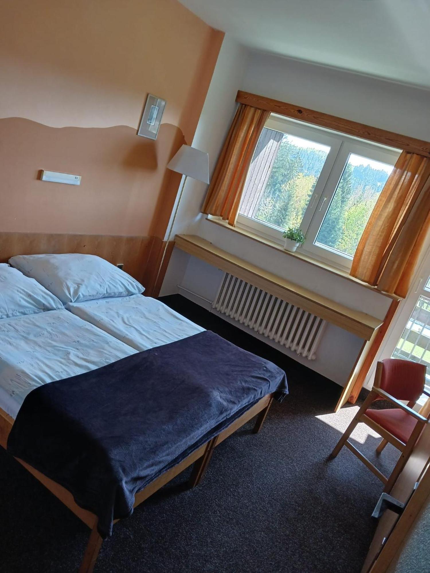 Hotel Albert - Retro Paseky nad Jizerou Extérieur photo